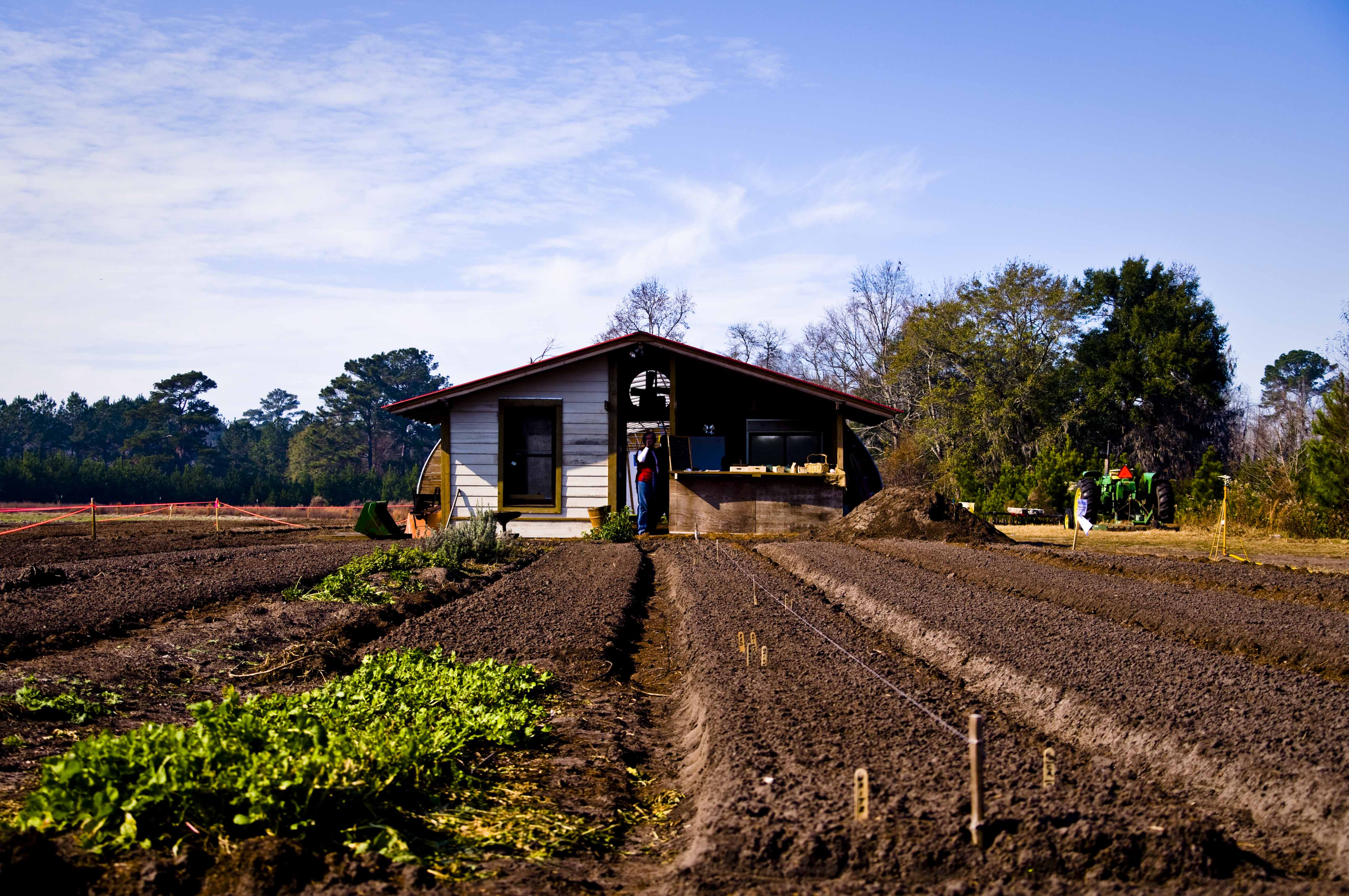 Condições mais favoráveis para a implementação de soluções de comércio justo e transparente de produtos agrícolas locais, saudáveis e sustentáveis em Belém do Pará