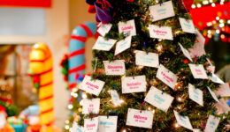 Campanha arrecada brinquedos para crianças carentes no Natal