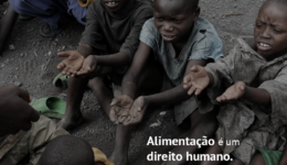 Campanha Direitos Humanos alimentacao