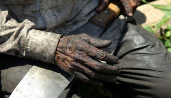 Trabalho escravo - foto RENATO ALVES/ MTE