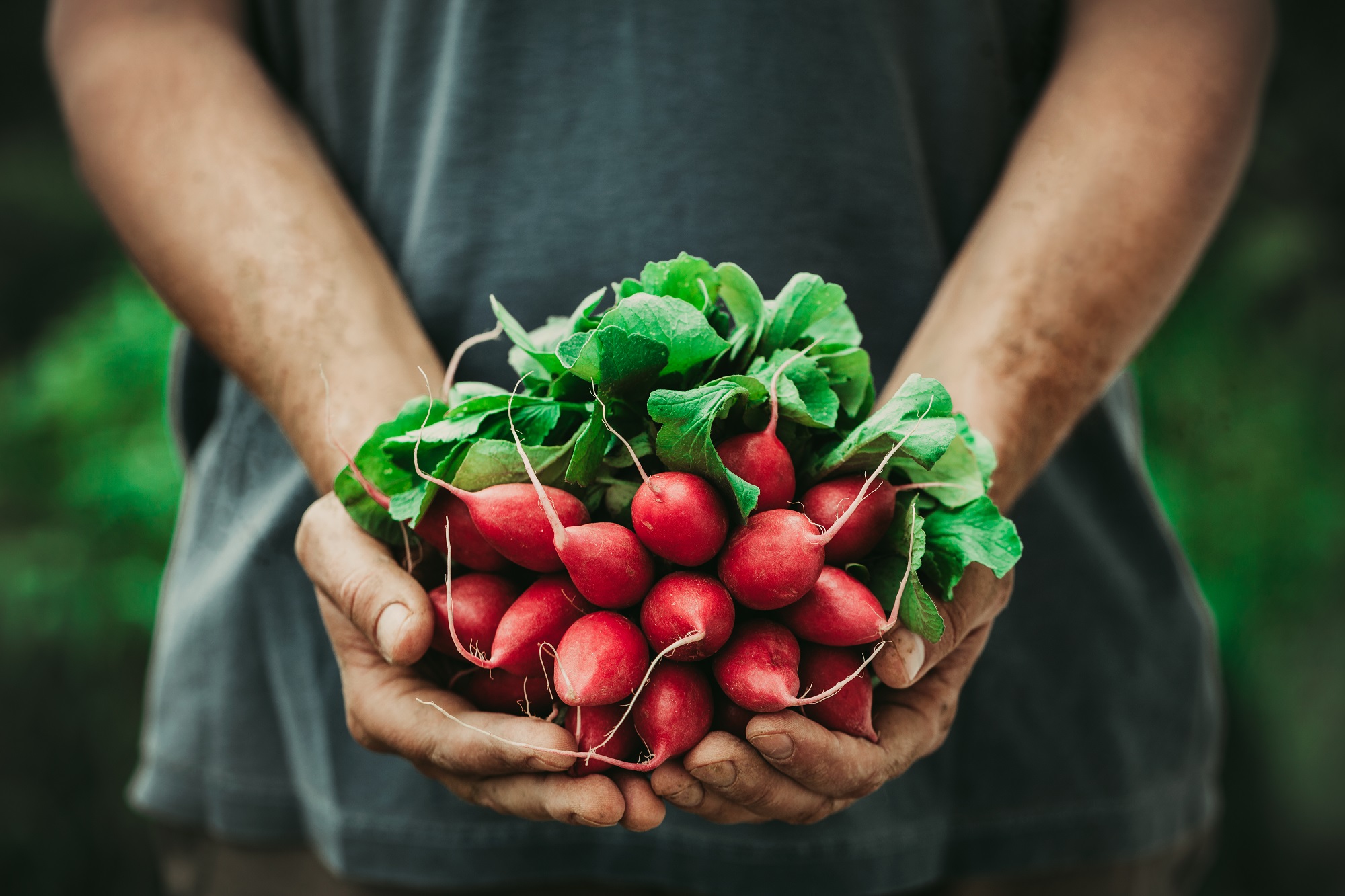 Fundação Cargill lança edital voltado à alimentação saudável