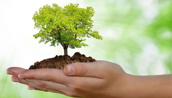Grupo Boticário oferece apoio financeiro para projetos ambientais