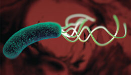 h pylori