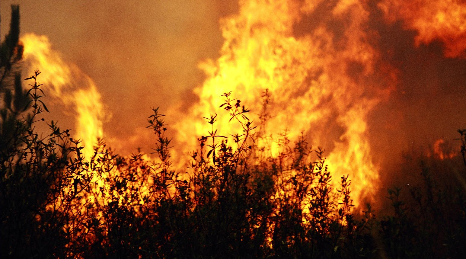 Inpe aponta índice recorde de queimadas no Brasil