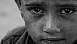 Foto: Adobe Stock | Licenciado