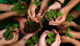 Edital do Center for Biodiversity Synthesis and Analysis abre inscrições