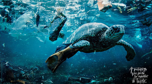 Campanha mostra ações negativas que interferem no meio ambiente
