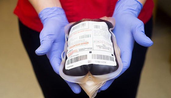 De cada mil brasileiros, apenas 16 são doadores de sangue