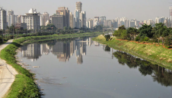 Estudo mostra visão dos paulistanos em relação ao meio ambiente