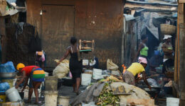 haiti 1 - portal