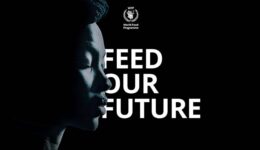 Cinemas brasileiros exibem campanha da ONU contra a fome