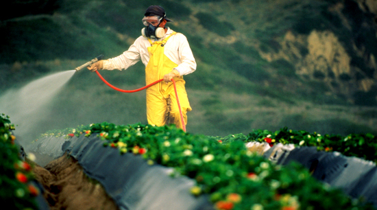 Substâncias tóxicas matam um trabalhador a cada 15 segundos