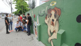 Estudantes criam petstop para cuidar de animais abandonados em SC