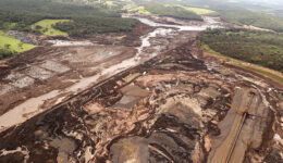 Tragédia em Brumadinho causou perda de 125 hectares de florestas