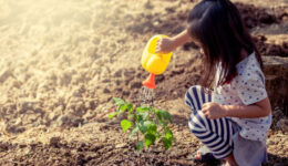 ONU abre chamada para iniciativas relacionadas à Agenda 2030