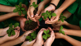 É urgente a educação ambiental – é no meio ambiente que deixamos a marca de quem somos