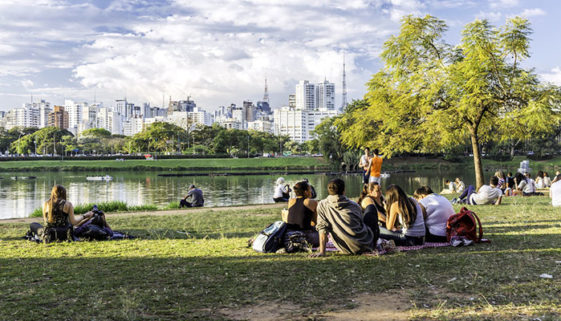 Projeto promove atendimento psicológico gratuito no Parque Ibirapuera