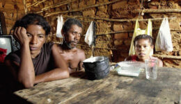 fome-no-brasil-portal