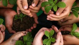 Edital fixo Klabin Transforma apoia projetos sociais de diversas áreas