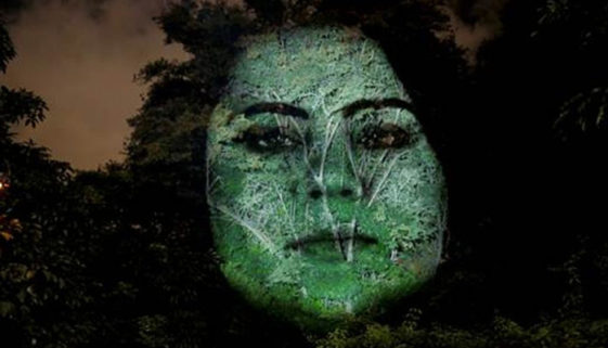 Árvores ganham rostos para alertar sobre doença, na Avenida Paulista
