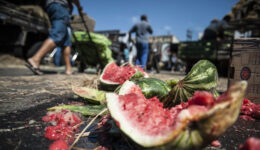 Em um ano, famílias brasileiras desperdiçam 128 quilos de alimento