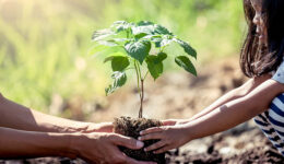 O que é sustentabilidade, você sabe?