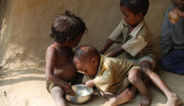 A fome no Brasil