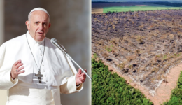 Papa pede ajuda de líderes mundiais para salvar a Amazônia