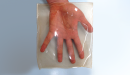 Pesquisadora da USP cria plástico 100% biodegradável