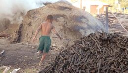 2021: o ultimato internacional para a eliminação do trabalho infantil