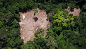Desmatamento na Amazônia aumentou 85% em 2019, diz INPE
