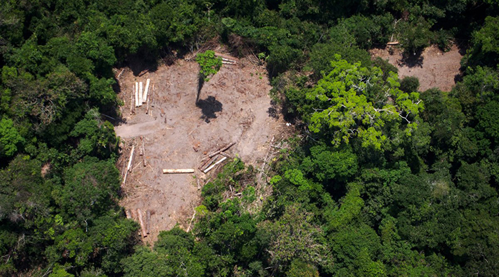 Desmatamento na Amazônia aumentou 85% em 2019, diz INPE