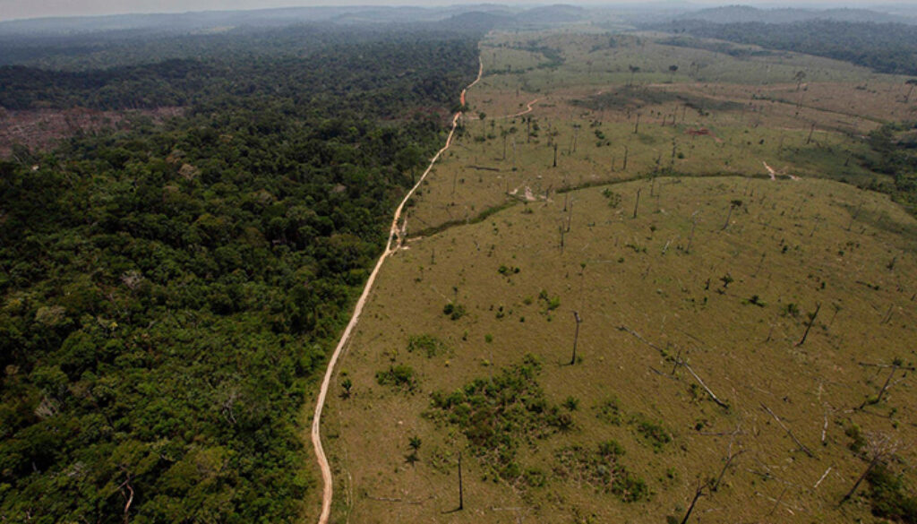 Amazônia