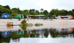 Novo fundo patrocinará projetos socioambientais na Amazônia