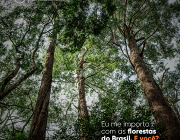 banner-eu-me-importo(florestas-01)