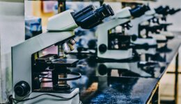 15 universidades são responsáveis por 60% da produção científica no país