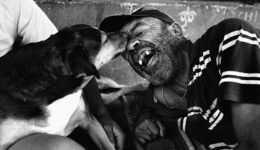 Educação, a princesa e o abandono de animais