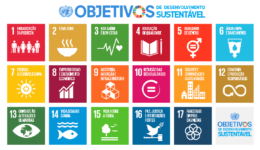 Objetivos do Desenvolvimento Sustentável