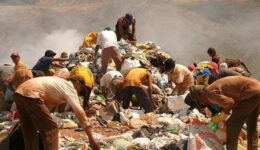 13 milhões no Brasil levariam 3 meses para comprar uma cesta básica