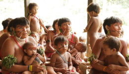 Indígenas Yanomami denunciam risco de massacre em reserva na Amazônia
