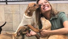Luisa Mell abrirá um santuário para animais silvestres em 2020