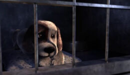 Curta-metragem incentiva adoção de animais abandonados