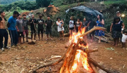 Protesto de indígenas contra desmatamento faz prefeitura embargar obra