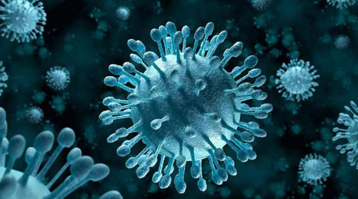 Ministério da Saúde lança aplicativo com informações sobre o coronavírus