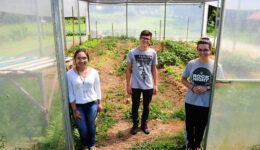 Escola Família Agrícola: o acesso à educação para jovens do campo