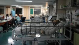 Brasil em alerta: 78% dos leitos de UTI do país já estão ocupados