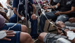 Brasil em alerta: 2.689 casos suspeitos de dengue são notificados por dia