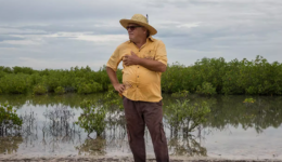 Ecologista planta 152 milhões de árvores e refloresta área no Senegal
