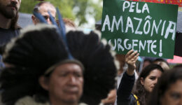 653 ambientalistas brasileiros foram assassinados nos últimos 16 anos