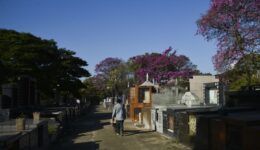 Memorial Inumeráveis conta a história das vítimas do coronavírus no Brasil